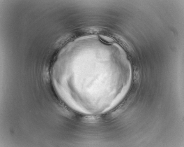 X0000115140381200911171225