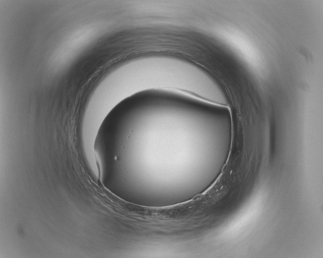 X0000115140387200911171224