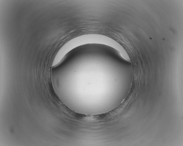 X0000115140425200911171224