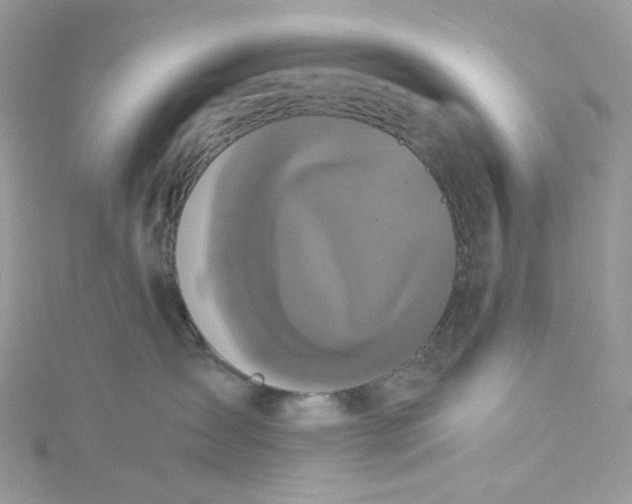 X0000115140431200911171224