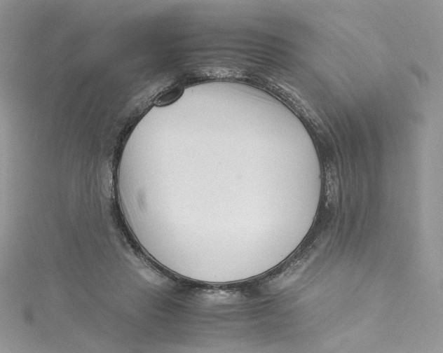 X0000115140453200911171223