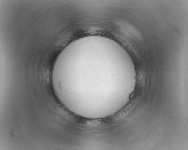 X0000115140470200911171224