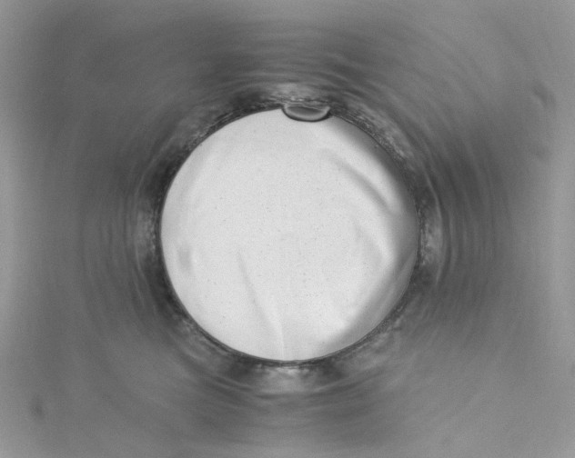 X0000115140473200911171224