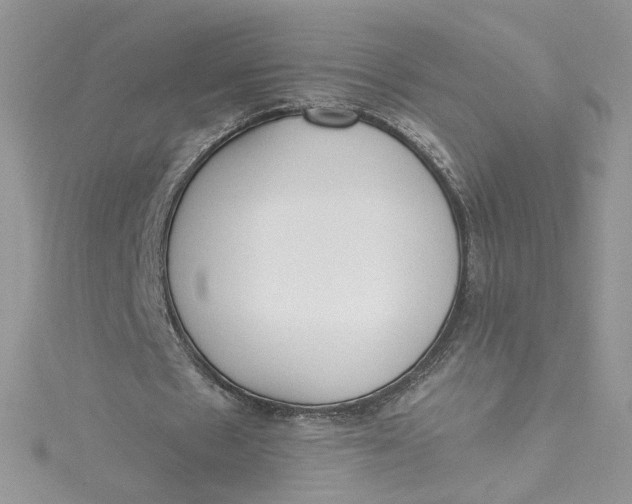 X0000115140481200911171223