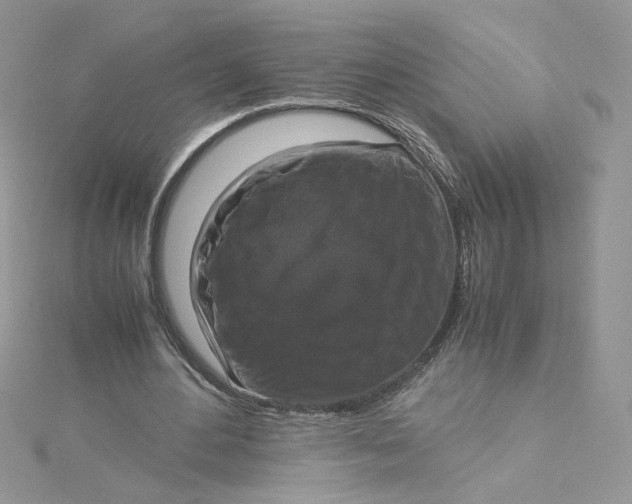 X0000115140484200911171223