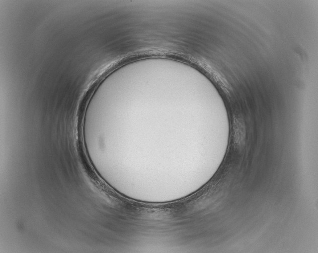 X0000115140486200911171223