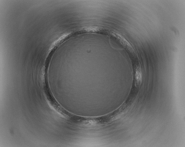 X0000115140492200911171223