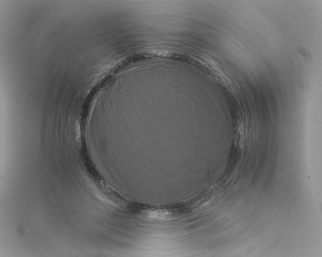 X0000115140500200911171223