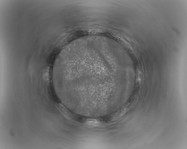 X0000115140519200911171223