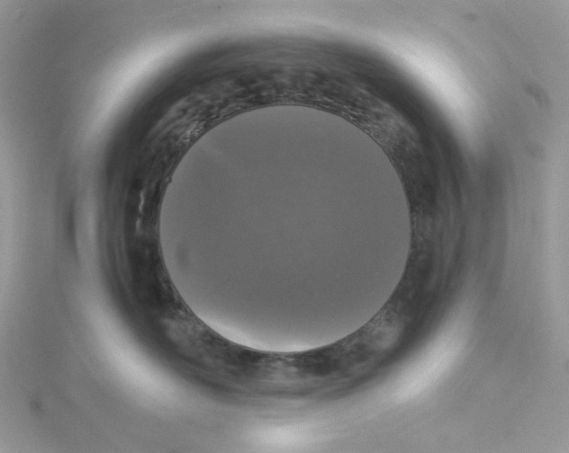 X0000115140526200911171223