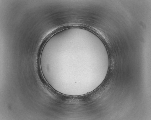 X0000115140535200911171222