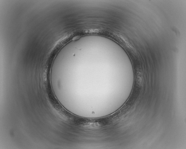 X0000115140543200911171222