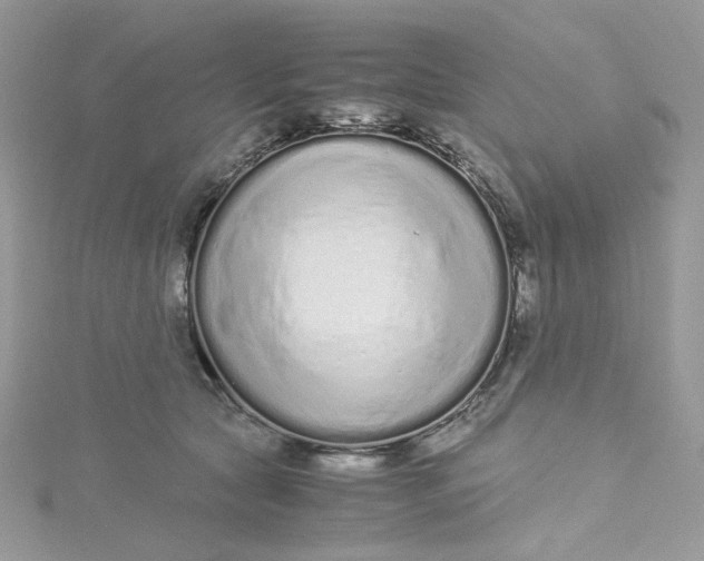 X0000115140561200911171222