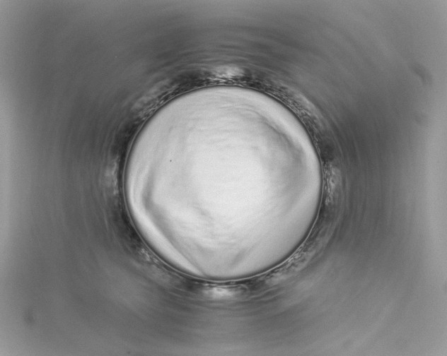 X0000115140565200911171222