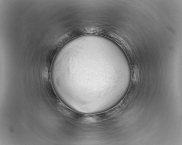 X0000115140569200911171223
