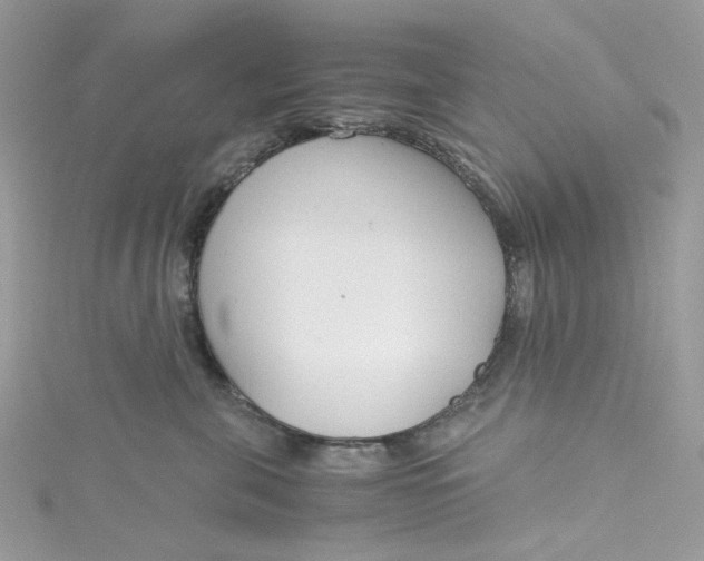 X0000115140571200911171223