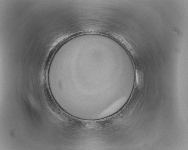 X0000115140579200911171222