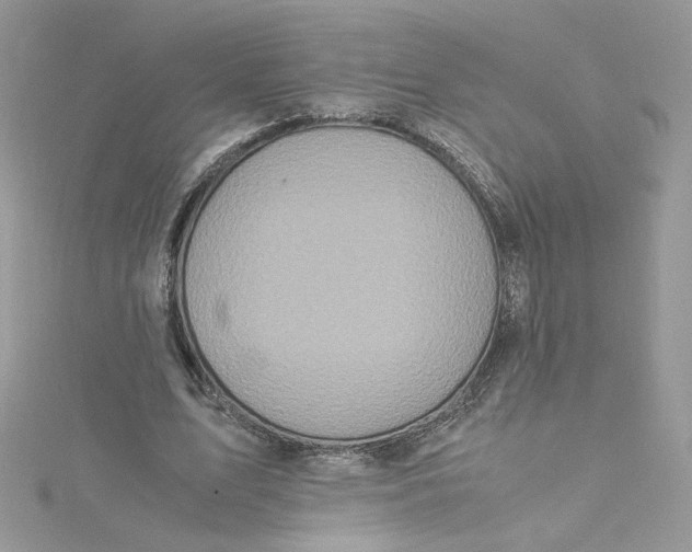 X0000115140583200911171222