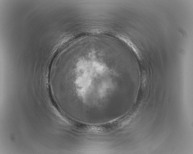 X0000115140585200911171222