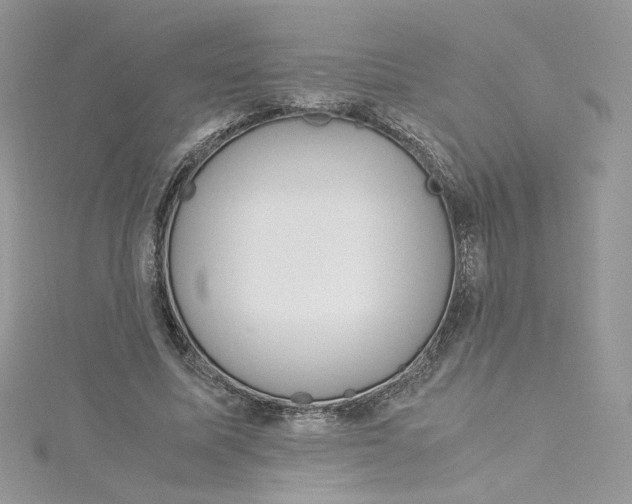 X0000115140587200911171222