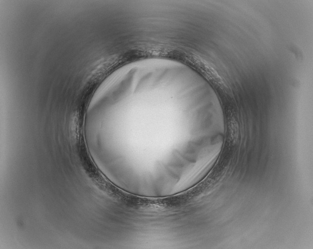 X0000115140594200911171222