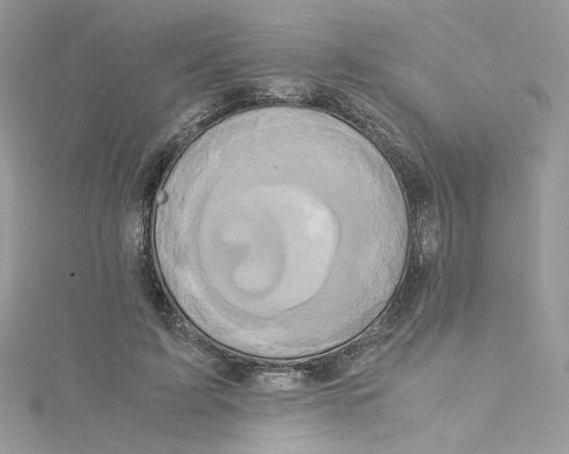 X0000115140595200911171222