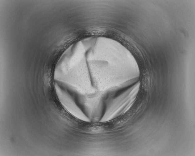 X0000115140604200911171222