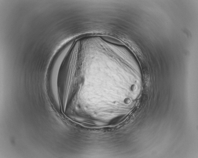 X0000115140628200911171221