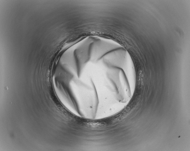 X0000115140650200911171221