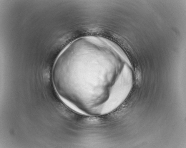 X0000115140668200911171221