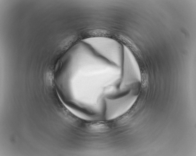 X0000115140669200911171221