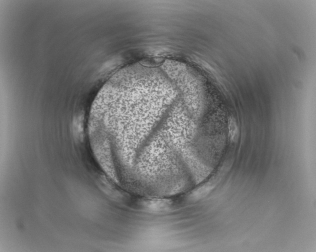 X0000115140670200911171221