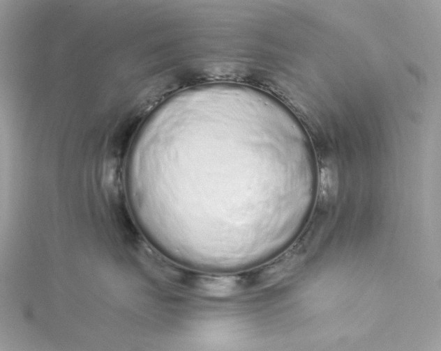 X0000115140671200911171221