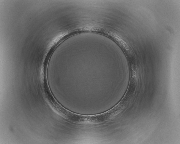 X0000115140678200911171221