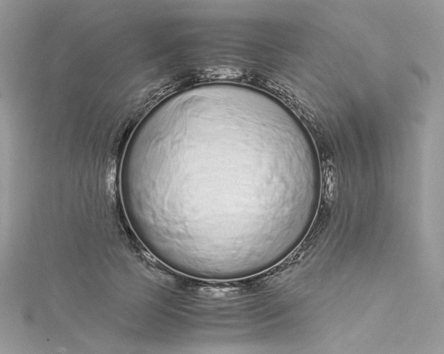 X0000115140745200911171220
