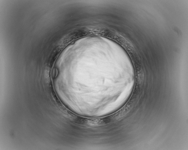 X0000115140757200911171220