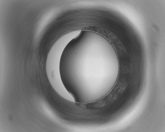 X0000115140766200911171220