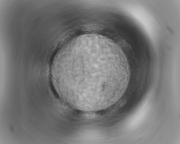 X0000115140767200911171220