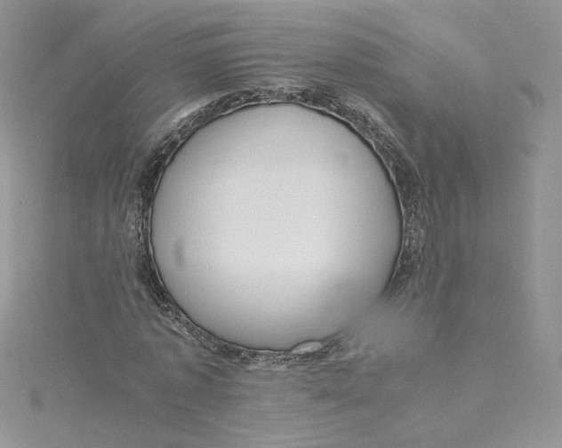 X0000115140773200911171219