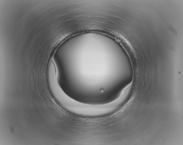 X0000115140785200911171219