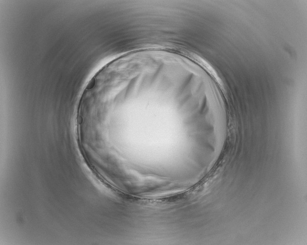 X0000115140811200911171219