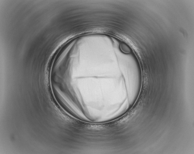 X0000115140835200911171219