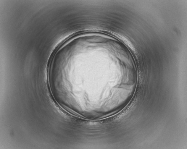 X0000115140839200911171219