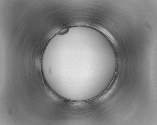 X0000115140857200911171219
