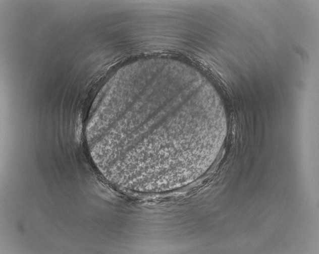 X0000115140868200911171218
