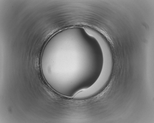 X0000115140881200911171218