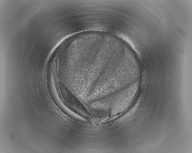 X0000115140923200911171217