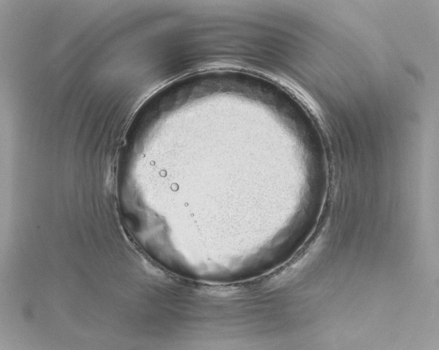 X0000115140953200911171218