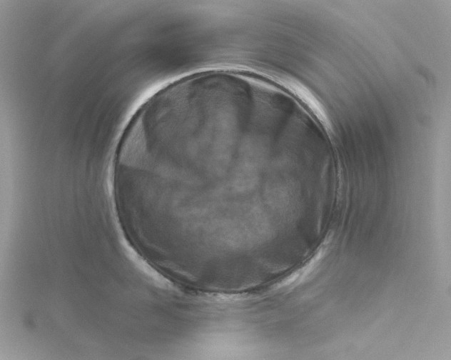 X0000115140958200911171218