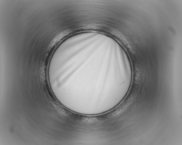 X0000115140978200911171217